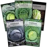 Sow Right Seeds - Cabbage Seed Collection for Planting - Savoy, Red Acre, Golden Acre, Copenhagen Market, and Michihili (Napa) Cabbages, Instructions to Plant and Grow a Non-GMO Heirloom Home Garden Photo, bestseller 2024-2023 new, best price $10.99 review