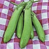 Thai Long Green Eggplant Seeds (25+ Seeds) Photo, bestseller 2024-2023 new, best price $4.69 review