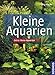 Foto Kleine Aquarien: Extra: Nano-Aquarien neu Bestseller 2024-2023