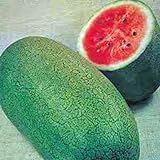 Watermelon, Charleston Grey, Heirloom,100 Seeds, Large Photo, bestseller 2024-2023 new, best price $2.99 ($0.03 / Count) review