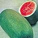 Photo Watermelon, Charleston Grey, Heirloom,100 Seeds, Large new bestseller 2024-2023