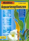 Aquarienpflanzen, MiniAtlas Foto, Bestseller 2024-2023 neu, bester Preis 24,99 € Rezension
