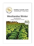 BIO-Kohlsamen Westlandse Winter Grünkohl Portion Foto, Bestseller 2024-2023 neu, bester Preis 1,95 € Rezension
