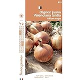 France Graines - Oignon Jaune Valencia Tardia Photo, best-seller 2024-2023 nouveau, meilleur prix 4,95 € examen