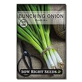 Sow Right Seeds - Heshiko Bunching Japanese Green Onion Seeds for Planting - Non-GMO Heirloom Seeds with Instructions to Plant and Grow a Kitchen Garden, Indoor or Outdoor; Great Gardening Gift Photo, bestseller 2024-2023 new, best price $5.99 review