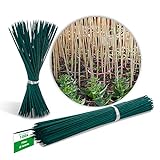 Novatool 100 varillas de madera de bambú, 70 cm x 6 mm, color verde, para plantas Foto, éxito de ventas 2024-2023 nuevo, mejor precio 19,95 € revisión