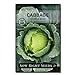 Photo Sow Right Seeds - Golden Acre Cabbage Seed for Planting - Non-GMO Heirloom Packet with Instructions to Plant an Outdoor Home Vegetable Garden - Great Gardening Gift (1) new bestseller 2023-2022