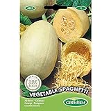 Germisem Vegetable Spaghetti Semillas de Calabacín 3.5 g (EC4021) Foto, éxito de ventas 2024-2023 nuevo, mejor precio 2,21 € revisión