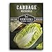 Photo Survival Garden Seeds - Michihili Napa / Nappa Cabbage Seed for Planting - Pack with Instructions to Plant and Grow Brassica Vegetables in Your Home Vegetable Garden - Non-GMO Heirloom Variety new bestseller 2024-2023