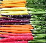 MySeeds.Co Big Pack - (3,500+) Rainbow Mix Carrot Seeds - Atomic Red, Bambino Orange, Cosmic Purple, Lunar White and Solar Yellow Seeds (Big Pack - Carrot Rainbow Mix) Photo, bestseller 2024-2023 new, best price $9.99 ($0.02 / Count) review