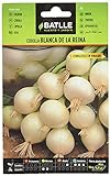 Cebolla Blanca de la REINA Foto, éxito de ventas 2024-2023 nuevo, mejor precio 1,60 € revisión