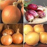 David's Garden Seeds Collection Set Onion Long-Day 9332 (Multi) 4 Varieties 800 Non-GMO, Open Pollinated Seeds Photo, bestseller 2024-2023 new, best price $16.95 ($4.24 / Count) review