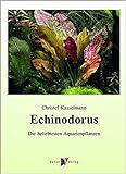Echinodorus: Die beliebtesten Aquarienpflanzen Foto, Bestseller 2024-2023 neu, bester Preis 49,99 € Rezension