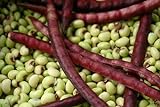 Purple Hull Pea Seeds for Planting - 250 Seeds Photo, bestseller 2024-2023 new, best price $13.97 ($0.06 / Count) review