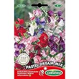 Germisem Pastel Dream Mix Semillas de Guisantes Dulces 1.5 g Foto, éxito de ventas 2024-2023 nuevo, mejor precio 2,70 € revisión