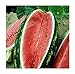 Photo David's Garden Seeds Fruit Watermelon Allsweet 1429 (Red) 50 Non-GMO, Heirloom Seeds new bestseller 2023-2022