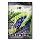 Sow Right Seeds - Blue Hopi Corn Seed for Planting - Non-GMO Heirloom Packet with Instructions to Plant and Grow an Outdoor Home Vegetable Garden - Great for Blue Corn Flour - Wonderful Gardening Gift Photo, bestseller 2024-2023 new, best price $4.99 review