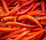 Hot Chili Pfeffer Cayenne - Pepper - 20 Samen Foto, Bestseller 2024-2023 neu, bester Preis 1,60 € (1,60 € / count) Rezension