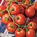 Photo Burpee 'Fourth of July' Hybrid | Red Slicing Tomato | 50 Seeds new bestseller 2024-2023