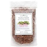 Rainbow Radish Sprouting Seeds Mix | Heirloom Non-GMO Seeds for Sprouting & Microgreens | Contains Red Arrow, Purple Triton & White Daikon Radish Seeds 1 lb Resealable Bag | Rainbow Heirloom Seed Co. Photo, bestseller 2024-2023 new, best price $17.99 review