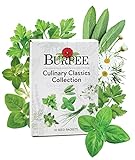 Burpee Culinary Classics Garden Collection 10 Packets of Non-GMO Chives, Cilantro, Basil, Sage, Thyme, Dill, Parsley, Chamomile, Marjoram & Oregano | Kitchen Herb Variety Pack, Seeds for Planting Photo, bestseller 2024-2023 new, best price $26.57 review