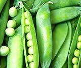 50 Lincoln Pea Seeds | Non-GMO | Fresh Garden Seeds Photo, bestseller 2024-2023 new, best price $6.95 review