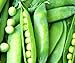 Photo 50 Lincoln Pea Seeds | Non-GMO | Fresh Garden Seeds new bestseller 2023-2022