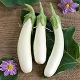 David's Garden Seeds Eggplant Casper 3411 (White) 50 Non-GMO, Open Pollinated Seeds Photo, bestseller 2024-2023 new, best price $4.45 review