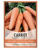 Carrot Seeds for Planting - Scarlet Nantes - Daucus Carota - is A Great Heirloom, Non-GMO Vegetable Variety- 2 Grams Seeds Great for Outdoor Spring, Winter and Fall Gardening by Gardeners Basics Photo, bestseller 2024-2023 new, best price $4.95 review
