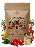 13 Rare Hot Chili Pepper Seeds Variety Pack for Planting Indoor & Outdoors. 650+ Non-GMO Bulk Pepper Garden Seeds Kit: Jalapeno, Cayenne, Serrano, Habanero, Pasilla Bajio, Santa Fe, Fresno & More Photo, bestseller 2024-2023 new, best price $18.99 ($1.46 / Count) review