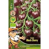 Semillas ecológicas de Tomate Black Cherry Foto, éxito de ventas 2024-2023 nuevo, mejor precio 4,42 € revisión