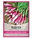 Photo Radish Seeds for Planting - French Breakfast Variety Heirloom, Non-GMO Vegetable Seed - 2 Grams of Seeds Great for Outdoor Spring, Winter and Fall Gardening by Gardeners Basics new bestseller 2024-2023