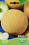Germisem Melone GALIA F1, mehrfarbig, EC5004 Foto, Bestseller 2024-2023 neu, bester Preis 3,68 € Rezension