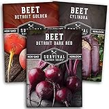 Survival Garden Seeds Beet Collection Seed Vault - Detroit Red, Detroit Golden, Cylindra Beets - Delicious Root & Green Leafy Veggies - Non-GMO Heirloom Survival Garden Vegetable Seeds for Planting Photo, bestseller 2024-2023 new, best price $8.99 review
