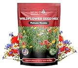 170,000 Wildflower Seeds, 1/4 lb, 35 Varieties of Flower Seeds, Mix of Annual and Perennial Seeds for Planting, Attract Butterflies and Hummingbirds, Non-GMO… Photo, bestseller 2024-2023 new, best price $19.99 ($5.00 / Ounce) review