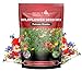 Photo 170,000 Wildflower Seeds, 1/4 lb, 35 Varieties of Flower Seeds, Mix of Annual and Perennial Seeds for Planting, Attract Butterflies and Hummingbirds, Non-GMO… new bestseller 2024-2023