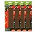 Foto Dehner Bio Düngestäbchen für Tomaten, 4 x 30 Stück (120 Stück) neu Bestseller 2022-2021