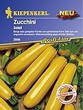 Kiepenkerl Zucchini Soleil goldgelb Foto, Bestseller 2024-2023 neu, bester Preis 2,62 € Rezension