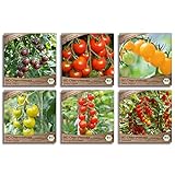 Samenliebe BIO Cherrytomaten Samen Set mit 6 samenfesten Gemüsesamen Sorten für Gewächshaus Freiland und Balkon Tomaten BIO Gemüse Saatgut Foto, Bestseller 2024-2023 neu, bester Preis 15,99 € (2,66 € / stück) Rezension