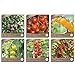 Foto Samenliebe BIO Cherrytomaten Samen Set mit 6 samenfesten Gemüsesamen Sorten für Gewächshaus Freiland und Balkon Tomaten BIO Gemüse Saatgut neu Bestseller 2024-2023