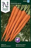 Möhren Samen Sugarsnax 54 F1 - Nelson Garden Gemüse Saatgut - Karotten Samen (300 Stück) (Möhre, Sommer-, Sugarsnax 54 F1, Einzelpackung) Foto, Bestseller 2024-2023 neu, bester Preis 3,45 € Rezension