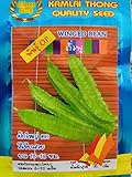 Thai Winged Bean Seeds Photo, bestseller 2024-2023 new, best price $6.99 ($99.15 / Ounce) review