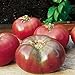 Photo Burpee 'Cherokee Purple' Heirloom | Large Slicing Tomato | Rich Flavor new bestseller 2024-2023