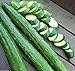 Photo Japanese Long Burpless Cucumber Seeds - Sooyow Nishiki Green Non-GMO (25 - Seeds) new bestseller 2024-2023