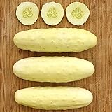 Silver Slicer Cucumber Seeds (25+ Seeds)(More Heirloom, Organic, Non GMO, Vegetable, Fruit, Herb, Flower Garden Seeds (25+ Seeds) at Seed King Express) Photo, bestseller 2024-2023 new, best price $3.69 review