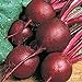 Photo Beets,Ruby Queen, Heirloom, Non GMO, 100 Seeds, Tender and Sweet, DEEP RED new bestseller 2024-2023