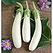 Photo White Princess (F1) Eggplant Seeds (30+ Seed Package) new bestseller 2024-2023