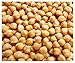 Photo Garbanzo Bean Seeds - Chickpea Seeds - 30+ Seeds new bestseller 2024-2023