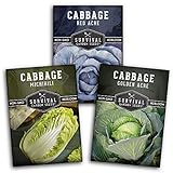 Cabbage Collection Seed Vault - Non-GMO Heirloom Survival Garden Seeds for Planting - Red Acre, Golden Acres, and Michihili (Napa) Cabbage Seed Packets to Grow Your Own Healthy Cruciferous Vegetables Photo, bestseller 2024-2023 new, best price $8.99 review