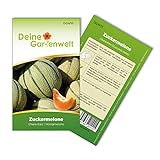Zuckermelonen Charentais Samen - Cucumis melo - Melonensamen - Obstsamen - Saatgut für 15 Pflanzen Foto, Bestseller 2024-2023 neu, bester Preis 1,99 € (0,13 € / stück) Rezension
